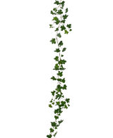 Die künstliche Hängepflanze Efeu-Girlande Deluxe 180 cm grün ist eine lange, grüne Efeu-Girlande mit spitzen Blättern, die vertikal vor einem schlichten weißen Hintergrund hängt.