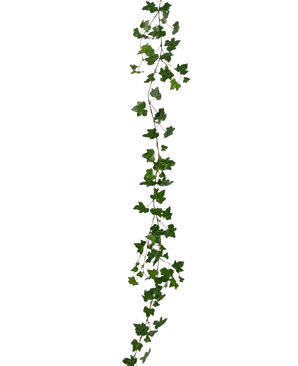 Die künstliche Hängepflanze Efeu-Girlande Deluxe 180 cm grün ist eine lange, grüne Efeu-Girlande mit spitzen Blättern, die vertikal vor einem schlichten weißen Hintergrund hängt.