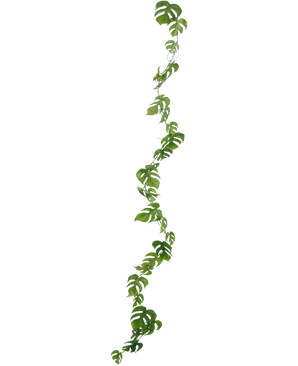 Die künstliche Weinpflanze Monstera 182 cm ist eine lange künstliche Liane mit grünen, natürlich geformten Blättern, die vertikal vor einem schlichten hellen Hintergrund hängt.