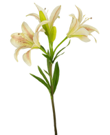 Eine einzelne künstliche asiatische Lilie, 66 cm, rosa, mit drei blühenden rosa Lilien und grünen Blättern, isoliert auf weißem Hintergrund.