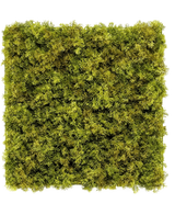 Die künstliche Hecke Nordic Moss 50x50 cm UV ist eine quadratische Platte, die dicht mit üppigem grünem Moos auf weißem Hintergrund bedeckt ist und einen strukturierten, natürlichen Look erzeugt, der sich perfekt für schicke Innenräume eignet.