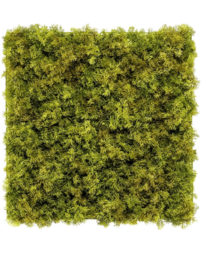 Die künstliche Hecke Nordic Moss 50x50 cm UV ist eine quadratische Platte, die dicht mit üppigem grünem Moos auf weißem Hintergrund bedeckt ist und einen strukturierten, natürlichen Look erzeugt, der sich perfekt für schicke Innenräume eignet.