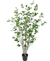 Die Kunstpflanze Ficus 180 cm ist ein hoher Kunstbaum im Topf mit mehreren schlanken braunen Stämmen und dichten grünen Blättern vor einem schlichten weißen Hintergrund.