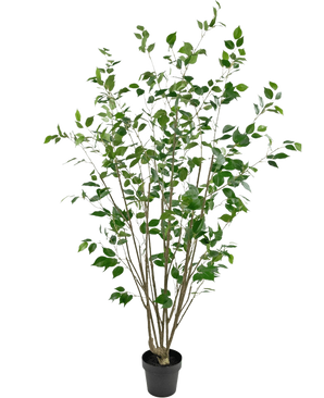 Die Kunstpflanze Ficus 180 cm ist ein hoher Kunstbaum im Topf mit mehreren schlanken braunen Stämmen und dichten grünen Blättern vor einem schlichten weißen Hintergrund.