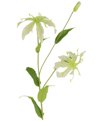 Künstliche Blume Gloriosa 81 cm weiß