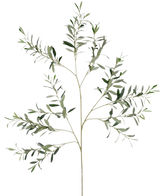 Der künstliche Olivenzweig 109 cm hat mehrere schlanke Stiele mit kleinen, länglichen grünen Blättern auf einem schlichten weißen Hintergrund.