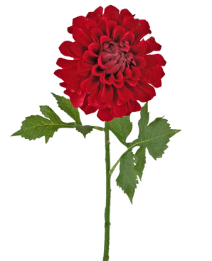Kunstblume Dahlie 50 cm rot: eine einzelne rote Dahlie mit mehreren Lagen Blütenblättern und grünen Blättern an einem langen Stiel, isoliert auf weißem Hintergrund.