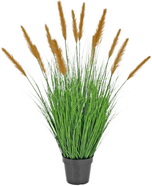 De Kunst Grasplant Struisriet 100 cm brandvertragend staat in een zwarte pot met hoge, grasachtige bladeren en lange bruine pluimen, die groene decoratie toevoegen tegen een effen witte achtergrond.
