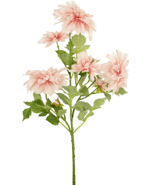 Die künstliche Blumen-Dahlie 68 cm rosa hat einen einzelnen grünen Stiel mit mehreren hellrosa Dahlienblüten und grünen Blättern vor einem schlichten weißen Hintergrund.