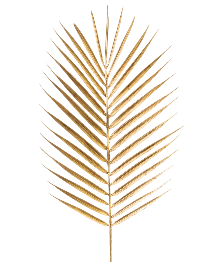 Der künstliche Astfarn 64 cm gold hat ein einzelnes goldenes Palmenblatt mit langen, schlanken Blättern auf einem schlichten weißen Hintergrund.