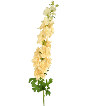 Eine einzelne künstliche Blume Delphinium 105 cm cremefarben mit mehreren hellgelben Blüten und grünen Blättern, vor einem schlichten weißen Hintergrund.