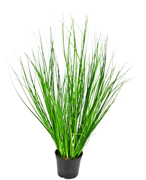 Die feuerhemmende Kunstrasenpflanze Zwiebel 58 cm ist ein hohes dekoratives Gras mit schlanken grünen Halmen in einem schwarzen Kunststofftopf, dargestellt vor einem schlichten weißen Hintergrund.