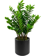 Die fertige Kunstpflanze Zamioculcas im schwarzen Topf von 120 cm hat glänzend grüne Blätter und steht in einem schlichten, runden schwarzen Topf vor weißem Hintergrund.
