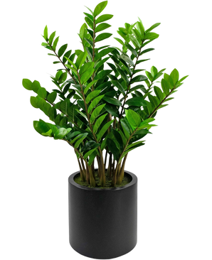 Die fertige Kunstpflanze Zamioculcas im schwarzen Topf von 120 cm hat glänzend grüne Blätter und steht in einem schlichten, runden schwarzen Topf vor weißem Hintergrund.