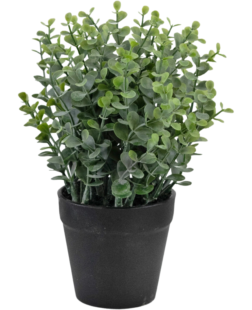Die Kunstpflanze Pumila 23 cm ist eine kleine grüne Topfpflanze mit runden Blättern in einem schlichten schwarzen Topf, dargestellt vor einem weißen Hintergrund.