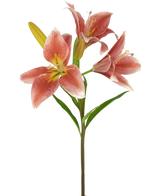 Auf einem Stiel der Kunstblume Asiatische Lilie 66 cm Altrosa befinden sich mehrere blühende rosa Lilien mit grünen Blättern vor einem schlichten weißen Hintergrund.
