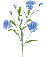 Der Kunstblumen-Nelkenstrauß 70 cm blau hat einen zarten Stiel mit mehreren hellblauen Nelkenblüten und grünen Blättern vor einem schlichten weißen Hintergrund.