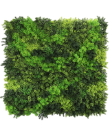 Die künstliche Hecke Fairyland Moss 100x100 cm UV ist eine quadratische Platte mit dichtem, leuchtend grünem Moos in verschiedenen Farbtönen, die für einen strukturierten, natürlichen Look sorgt, der perfekt vor einem weißen Hintergrund aussieht.
