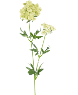 Die künstliche Spitzenblume 76 cm weiß ist ein einzelner künstlicher Stiel mit Büscheln kleiner, hellgrün-weißer Blüten und gezackten, tief gelappten grünen Blättern vor einem schlichten weißen Hintergrund.