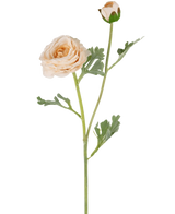 Die künstliche Ranunkel Real Touch Crème 60 cm hat einen einzelnen pfirsichfarbenen Ranunkelstiel mit geschichteten Blütenblättern, eine kleinere geschlossene Knospe und grün gelappte Blätter, alle wunderschön detailliert und isoliert auf einem weißen Hintergrund.