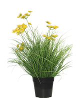 Die feuerhemmende Kunstrasenpflanze Asteraceae 50 cm hat lange, dünne grüne Blätter und kleine gelbe Blüten in einem schwarzen Topf, der für ein grünes Aussehen sorgt – perfekter Kunstrasen im Zuhause vor einem schlichten weißen Hintergrund.