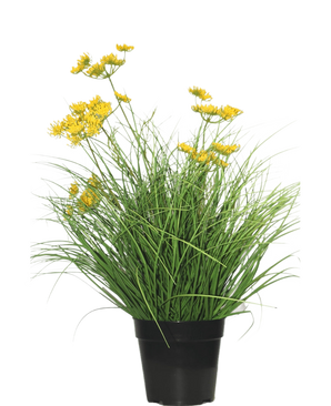 Die feuerhemmende Kunstrasenpflanze Asteraceae 50 cm hat lange, dünne grüne Blätter und kleine gelbe Blüten in einem schwarzen Topf, der für ein grünes Aussehen sorgt – perfekter Kunstrasen im Zuhause vor einem schlichten weißen Hintergrund.
