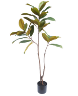 Der künstliche Yulania-Baum 120 cm hat schlanke braune Stämme und breite grün-gelbe Blätter, die realistisch aussehen und jeden Raum vor einem schlichten weißen Hintergrund aufwerten.