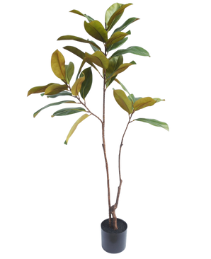 Der künstliche Yulania-Baum 120 cm hat schlanke braune Stämme und breite grün-gelbe Blätter, die realistisch aussehen und jeden Raum vor einem schlichten weißen Hintergrund aufwerten.