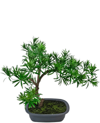 Künstliche Pflanze Bonsai Podocarpus 40 cm