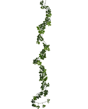 Die künstliche Schlingpflanze Gardenia 157 cm hat eine einzelne, lange grüne Ranke mit kleinen Blättern, die vertikal vor einem schlichten weißen Hintergrund hängt.