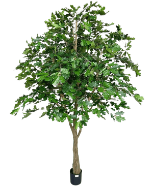De Kunst Eikenboom 270 cm heeft dichte groene bladeren en een dikke bruine stam in een kleine zwarte pot, tegen een witte achtergrond - perfect als kunstboom voor binnen.