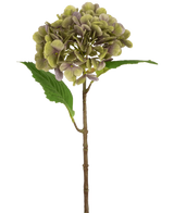 Die künstliche Hortensie Deluxe 55 cm grün/lila hat einen einzelnen künstlichen Hortensienstiel mit grünen und violetten Blütenblättern und zwei grünen Blättern auf einem schlichten weißen Hintergrund.