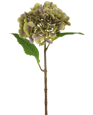 Die künstliche Hortensie Deluxe 55 cm grün/lila hat einen einzelnen künstlichen Hortensienstiel mit grünen und violetten Blütenblättern und zwei grünen Blättern auf einem schlichten weißen Hintergrund.