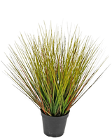 Die feuerhemmende Kunstrasenpflanze Zwiebel 50 cm hat hohe, dünne, grasartige grüne und gelbliche Blätter mit rötlich-braunen Reflexen, dicht beieinander und nach außen gefächert in einem schwarzen Plastiktopf.