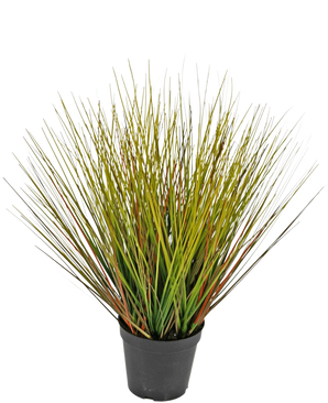 Die feuerhemmende Kunstrasenpflanze Zwiebel 50 cm hat hohe, dünne, grasartige grüne und gelbliche Blätter mit rötlich-braunen Reflexen, dicht beieinander und nach außen gefächert in einem schwarzen Plastiktopf.