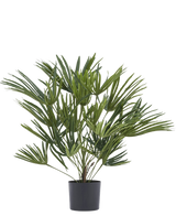Die Kunstpflanze Babypalme Fächer im Topf UV 50 cm hat lange, schlanke grüne Blätter in einem stilvollen Topf – ideal, um Ihrem Interieur eine elegante Note zu verleihen oder für zusätzliches Flair mit dekorativen Töpfen zu kombinieren.