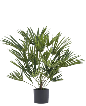 Die Kunstpflanze Babypalme Fächer im Topf UV 50 cm hat lange, schlanke grüne Blätter in einem stilvollen Topf – ideal, um Ihrem Interieur eine elegante Note zu verleihen oder für zusätzliches Flair mit dekorativen Töpfen zu kombinieren.