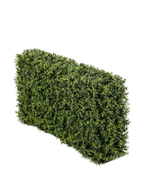 De Kunst Buxushaag UV 100x20x50 cm heeft een dichte, groene rechthoekige haag tegen een effen witte achtergrond.