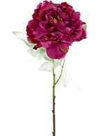 Die künstliche Pfingstrose 61 cm rosa ist eine künstliche dunkelrosa Pfingstrose mit geschichteten Blütenblättern, grünen Blättern und einem langen Stiel, dargestellt vor einem schlichten weißen Hintergrund.