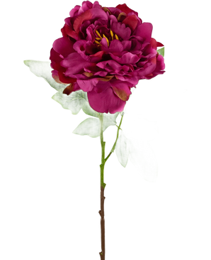 Die künstliche Pfingstrose 61 cm rosa ist eine künstliche dunkelrosa Pfingstrose mit geschichteten Blütenblättern, grünen Blättern und einem langen Stiel, dargestellt vor einem schlichten weißen Hintergrund.