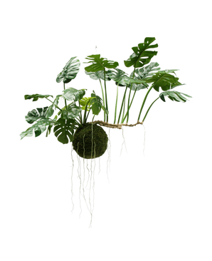 Die künstliche Hängepflanze Monstera Deluxe 80 cm mit sattgrünen Blättern und langen sichtbaren Wurzeln hängt vor einem weißen Hintergrund und verleiht Ihrem Interieur sofort einen tropischen Look.