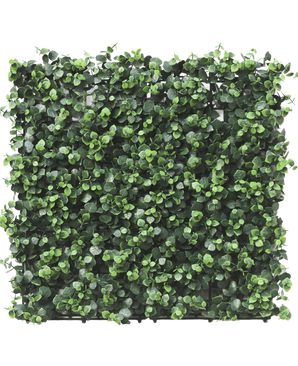 Die künstliche Hecke Eukalyptus 50x50 cm UV ist eine quadratische Platte mit dichten, kleinen, runden künstlichen Eukalyptusblättern, dicht gepackt für ein lebendiges und natürliches Aussehen, perfekt für die Gestaltung üppiger vertikaler Gärten oder dekorativer Wände im Innen- und Außenbereich.