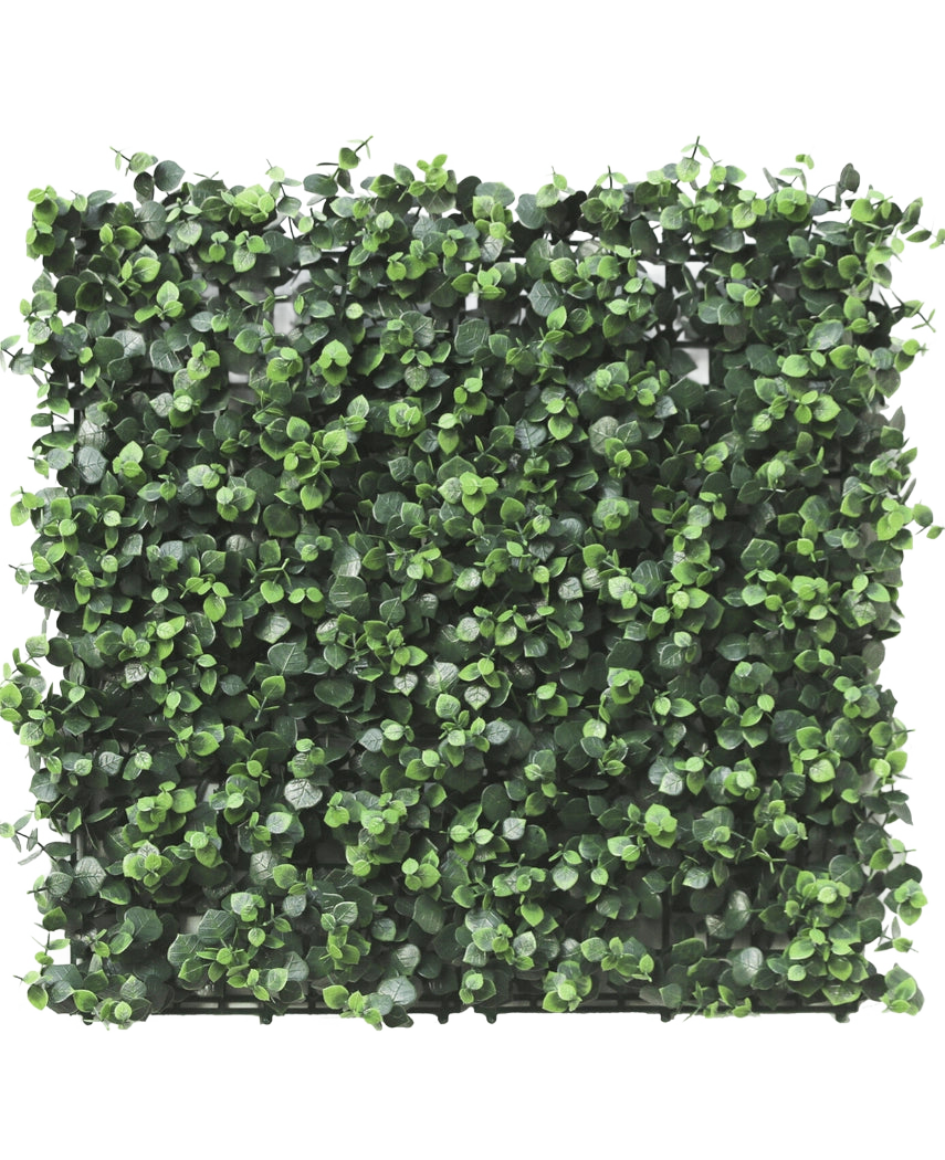 Die künstliche Hecke Eukalyptus 50x50 cm UV ist eine quadratische Platte mit dichten, kleinen, runden künstlichen Eukalyptusblättern, dicht gepackt für ein lebendiges und natürliches Aussehen, perfekt für die Gestaltung üppiger vertikaler Gärten oder dekorativer Wände im Innen- und Außenbereich.