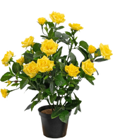 Die künstliche Pflanze Mini Rose UV 35 cm gelb ist eine künstliche Topfpflanze mit mehreren Stielen leuchtend gelber Rosen und grünen Blättern, die in einem kleinen schwarzen Behälter vor einem einfachen Hintergrund präsentiert wird.