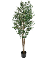 Der künstliche Olivenbaum UV 180 cm ist ein hoher künstlicher Olivenbaum mit schlanken Zweigen und grünen Blättern, UV-beständig, in einem einfachen schwarzen Topf geliefert und wunderschön vor einem weißen Hintergrund hervorgehoben.