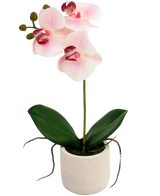 Die künstliche Orchidee Real Touch 30 cm rosa/weiß hat drei hellrosa Blüten und grüne Blätter in einem schlichten weißen Topf, perfekt, um jeden Raum aufzuhellen.