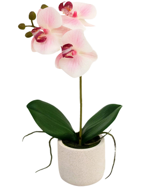 Die künstliche Orchidee Real Touch 30 cm rosa/weiß hat drei hellrosa Blüten und grüne Blätter in einem schlichten weißen Topf, perfekt, um jeden Raum aufzuhellen.