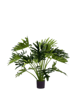 Die Kunstpflanze Philodendron UV 90 cm hat große, tief gelappte grüne Blätter im Topf und eignet sich perfekt als pflegeleichte Zimmerpflanze für mehr Grün im Innenbereich. Vor einem weißen Hintergrund verleiht es einen natürlichen Stil ohne Pflege.