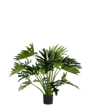 Die Kunstpflanze Philodendron UV 90 cm hat große, tief gelappte grüne Blätter im Topf und eignet sich perfekt als pflegeleichte Zimmerpflanze für mehr Grün im Innenbereich. Vor einem weißen Hintergrund verleiht es einen natürlichen Stil ohne Pflege.