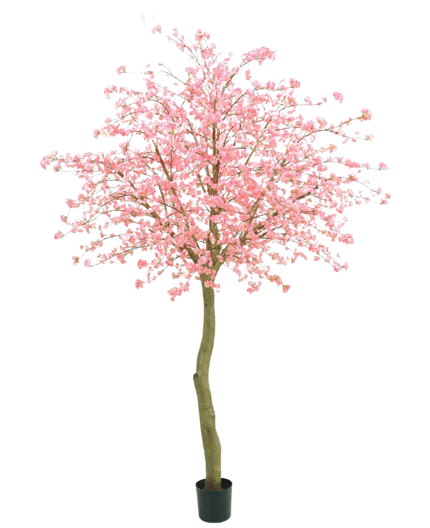 Der künstliche Baum Kirschblütenrosa 330 cm hat einen gebogenen braunen Stamm und üppige rosa Blüten vor einem schlichten weißen Hintergrund.